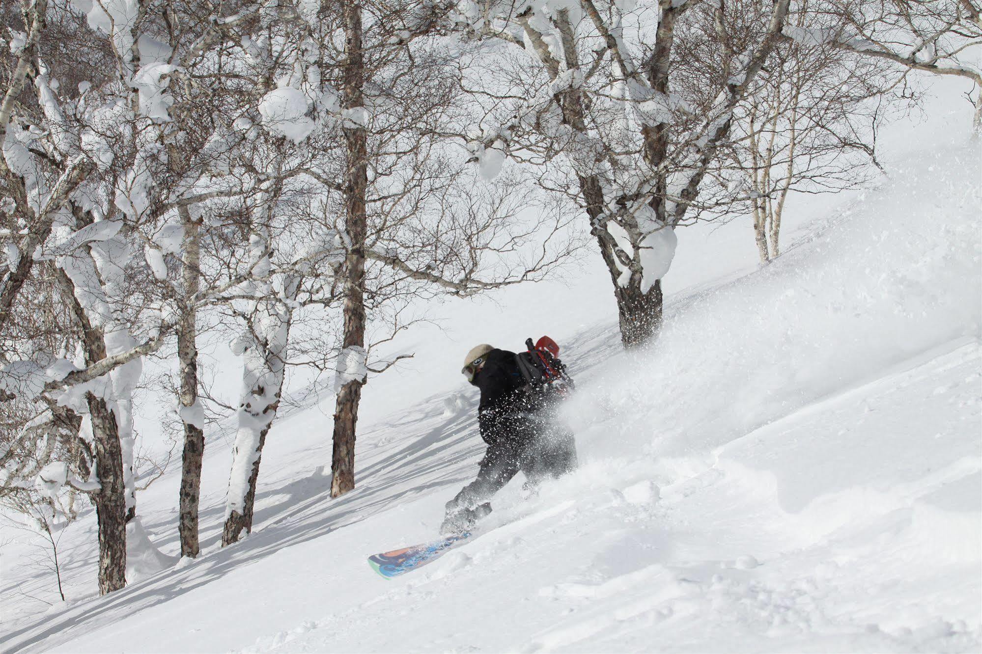 Niseko Grand Hotel מראה חיצוני תמונה