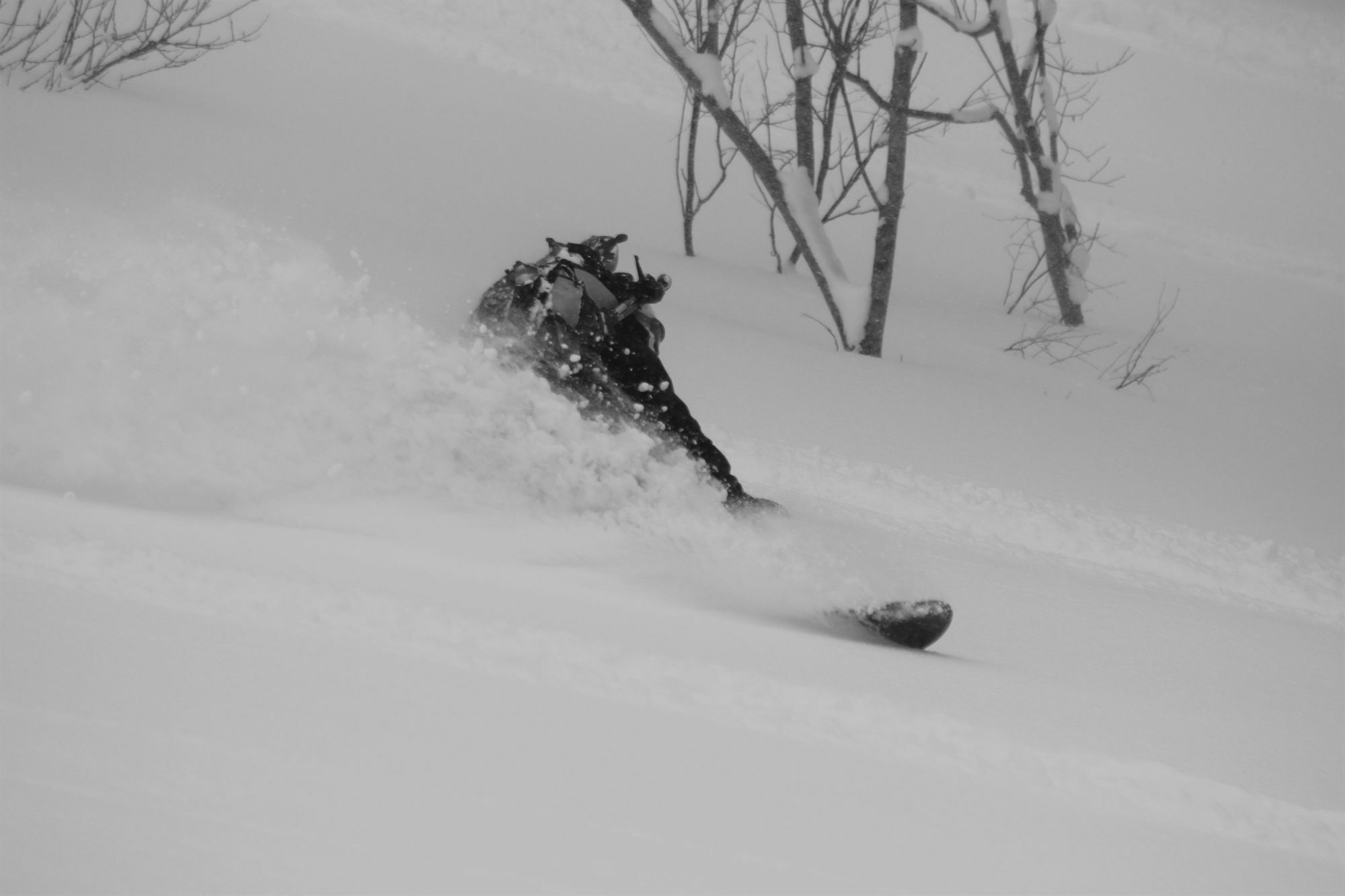 Niseko Grand Hotel מראה חיצוני תמונה